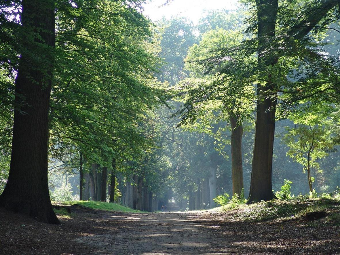 Luxe Safaritent Medley 5 Persoons Op Camping Rijsterbos Exterior photo